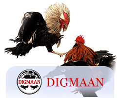 Digmaan
