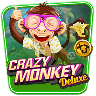 Crazy Monkey Deluxe
