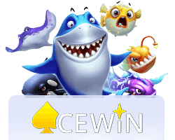ACEWIN