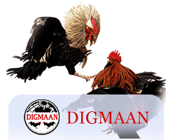 Digmaan